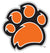 Rochester Institute of Technology