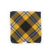 Load image into Gallery viewer, FHSU Pocket Square