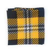 Load image into Gallery viewer, FHSU Handkerchief Scarf