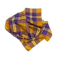 Load image into Gallery viewer, Alcorn State Handkerchief Scarf