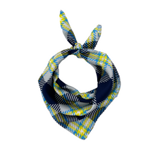 Load image into Gallery viewer, Butler Handkerchief Scarf