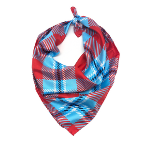 Delaware State Handkerchief Scarf