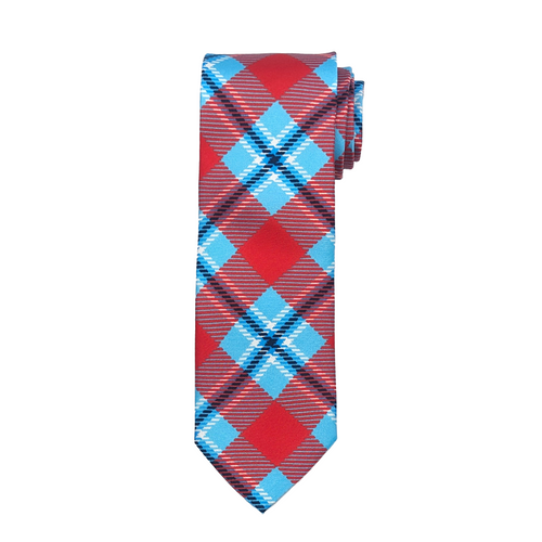 Delaware State Tie