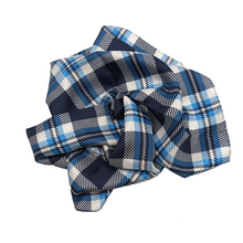 Load image into Gallery viewer, Jackson State Handkerchief Scarf