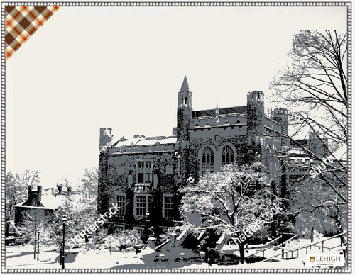 Lehigh Iconic Image Blanket