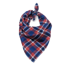 Load image into Gallery viewer, Penn Handkerchief Scarf