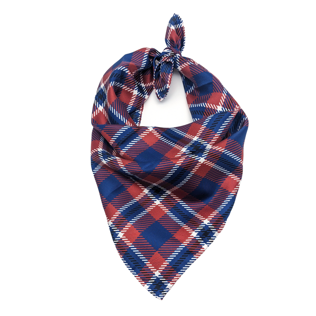 Penn Handkerchief Scarf