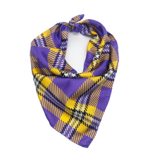 Load image into Gallery viewer, Prairie View A&amp;M Handkerchief Scarf