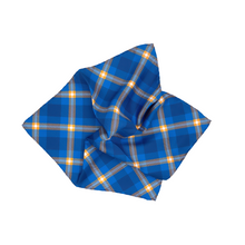 Load image into Gallery viewer, Pingry Pocket Square