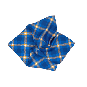 Pingry Pocket Square