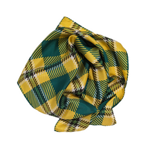 Load image into Gallery viewer, SUNY Brockport Handkerchief Scarf