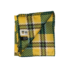 Load image into Gallery viewer, SUNY Brockport Handkerchief Scarf