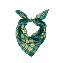 Load image into Gallery viewer, South Florida Handkerchief Scarf