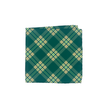 Load image into Gallery viewer, South Florida Pocket Square