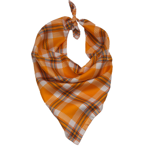 Tennessee Handkerchief Scarf