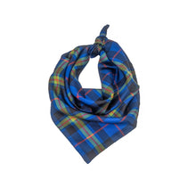 Load image into Gallery viewer, Notre Dame Handkerchief Scarf