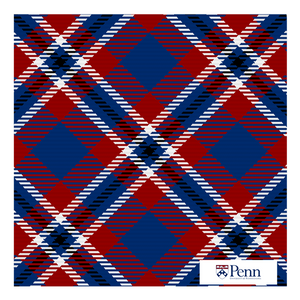 Penn Pocket Square