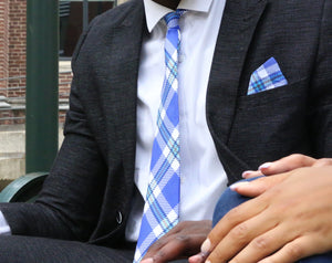 Indiana State Tie