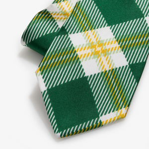 UNC Charlotte Tie