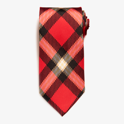 Arkansas State Tie